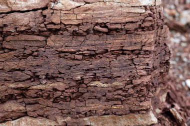 Toprak kesme kumtaşı, taşlar, kil, kum yapısı ve tabakaları. farklı yapıların katmanları ile kum dilimi.