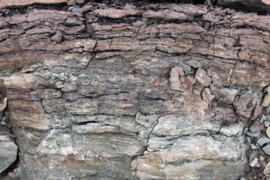 Toprak kesme kumtaşı, taşlar, kil, kum yapısı ve tabakaları. farklı yapıların katmanları ile kum dilimi.