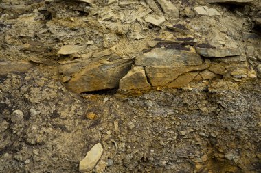 Toprak kesme kumtaşı, taşlar, kil, kum yapısı ve tabakaları. farklı yapıların katmanları ile kum dilimi.