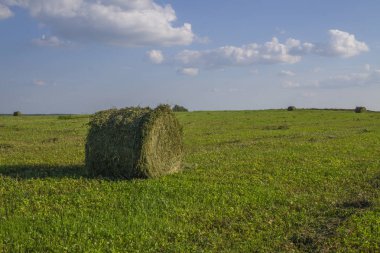 Saman balyaları ön planda bir tarlada. Saman hasadı. Gökyüzündeki bulutlar. Tarım çiftliği. Ekili tarlalar ve saman balyaları ile tepeler 