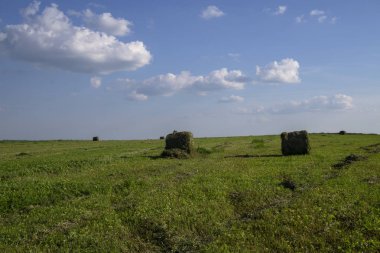 Saman balyaları ön planda bir tarlada. Saman hasadı. Gökyüzündeki bulutlar. Tarım çiftliği. Ekili tarlalar ve saman balyaları ile tepeler 