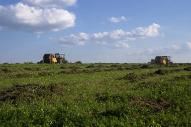 Tarım makineleri, mavi gökyüzü karşı bir alanda ot toplama bir traktör. Hasat saman, hasat çimen. Sezon hasat, çim, tarım arazisi.