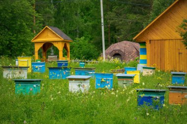 Bir bahar bahçesinde bir apiary içinde kurdeşen. Bal iş konsepti. Shulgan-Tash Doğa Koruma Alanı.