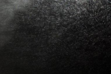 Gizemli, Ciddi, Puslu sis desenleri Bir ışık demeti ile aydınlatılmış. Karanlık arka plan üzerinde doğal nokta ışık Ray, sahne aydınlatma ekipmanları. Siyah arka plan üzerinde duman.