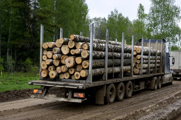 Перевезення пиломатеріалів. Вантажівка перевозить колоди, на дорозі. Вирізані колоди завантажуються на вантажівку. Велика вантажівка перевозить деревину . — стокове фото