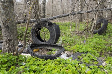 Ormanın yakınındaki çimlere çöp yığını doğayı ve şehir parkını çöplerle kirleten ekolojik felaket konsepti