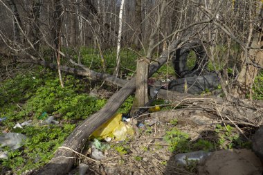 Ormanın yakınındaki çimlere çöp yığını doğayı ve şehir parkını çöplerle kirleten ekolojik felaket konsepti