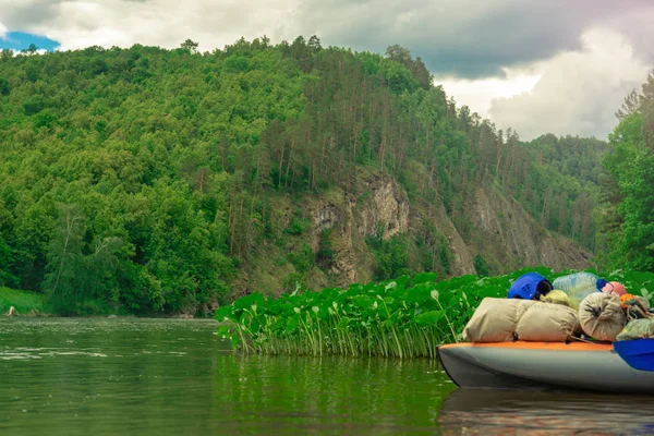 Skupić Się Część Młodej Osoby Rafting Rzece Lato Zielony Rzeka — Zdjęcie stockowe