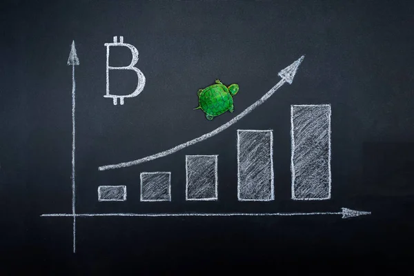 Slow but stable investment or low fluctuate stock market concept, miniature figure turtle walking on chalkboard with drawing price line graph of stock market value. Bitcoin exchange rate.