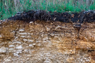 Toprak kesme kumtaşı, taşlar, kil, kum yapısı ve tabakaları. farklı yapıların katmanları ile kum dilim. Tortul kumtaşı kaya katmanları.