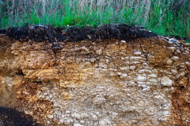 Toprak kesme kumtaşı, taşlar, kil, kum yapısı ve tabakaları. farklı yapıların katmanları ile kum dilim. Tortul kumtaşı kaya katmanları.