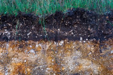 Toprak kesme kumtaşı, taşlar, kil, kum yapısı ve tabakaları. farklı yapıların katmanları ile kum dilim. Tortul kumtaşı kaya katmanları.