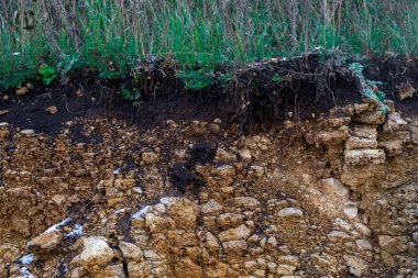 Toprak kesme kumtaşı, taşlar, kil, kum yapısı ve tabakaları. farklı yapıların katmanları ile kum dilim. Tortul kumtaşı kaya katmanları.