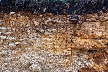 Toprak kesme kumtaşı, taşlar, kil, kum yapısı ve tabakaları. farklı yapıların katmanları ile kum dilim. Tortul kumtaşı kaya katmanları.
