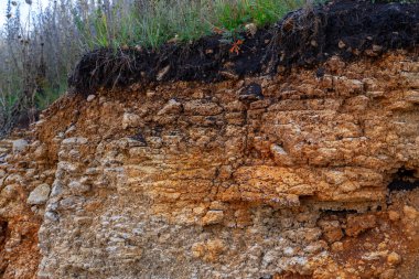 Toprak kesme kumtaşı, taşlar, kil, kum yapısı ve tabakaları. farklı yapıların katmanları ile kum dilim. Tortul kumtaşı kaya katmanları.