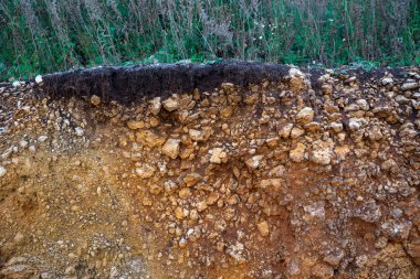 Fırtınalardan kaynaklanan erozyon. Toprak ve kaya katmanlarını göstermek için. Doğa kesitli toprak, yer altında yeşil çimenler, toprak yüzeyinin kesilmesi.