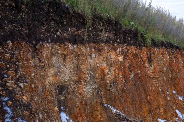 Fırtınalardan kaynaklanan erozyon. Toprak ve kaya katmanlarını göstermek için. Doğa kesitli toprak, yer altında yeşil çimenler, toprak yüzeyinin kesilmesi.