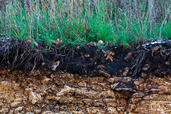 Toprak kesme kumtaşı, taşlar, kil, kum yapısı ve tabakaları. farklı yapıların katmanları ile kum dilim. Tortul kumtaşı kaya katmanları.