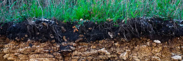 Toprak kesme kumtaşı, taşlar, kil, kum yapısı ve tabakaları. farklı yapıların katmanları ile kum dilim. Tortul kumtaşı kaya katmanları.