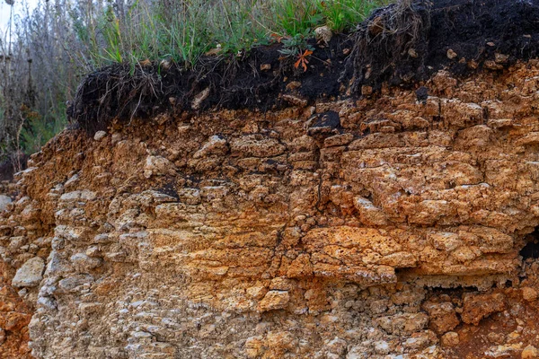 Soil cut-arenaria, pietre, argilla, struttura di sabbia e strati. fetta di sabbia con strati di diverse strutture. Strati di roccia arenaria sedimentaria . — Foto Stock
