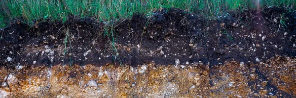 La erosión de las tormentas. Para indicar las capas de tierra y roca. Naturaleza sección transversal suelo subterráneo con hierba verde, tierra de corte superficie del terreno — Foto de Stock