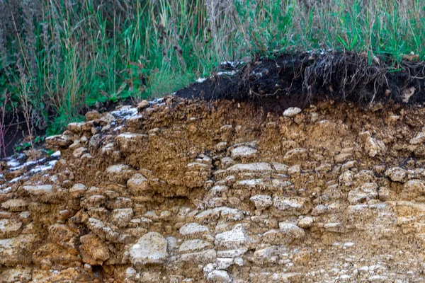L'erosione del marciapiede causata dalle tempeste. Indicare gli strati di terreno e roccia. Natura sezione trasversale terreno sotterraneo con erba verde, terra tagliata superficie del terreno — Foto Stock