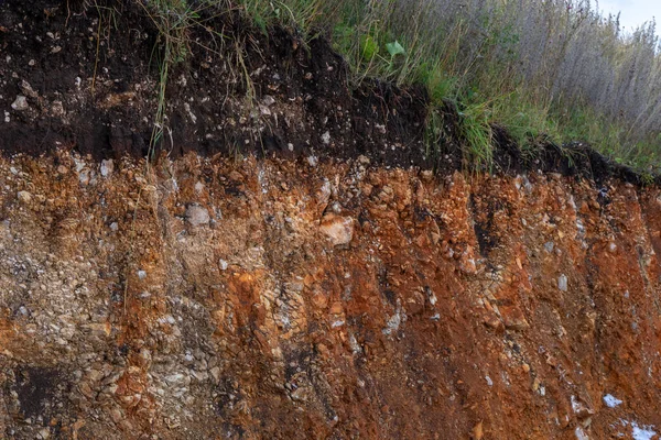 La erosión de las tormentas. Para indicar las capas de tierra y roca. Naturaleza sección transversal suelo subterráneo con hierba verde, tierra de corte superficie del terreno — Foto de Stock