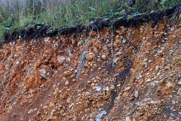 Fırtınalardan kaynaklanan erozyon. Toprak ve kaya katmanlarını göstermek için. Doğa kesitli toprak, yer altında yeşil çimenler, toprak yüzeyinin kesilmesi.