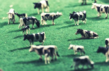 Bir çayır tarım peyzaj üzerinde inekler minyatür oyuncaklar sürüsü