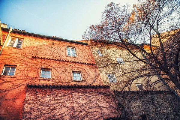 布拉格 捷克共和国 4月04日 墙壁和窗口覆盖着藤蔓 — 图库照片