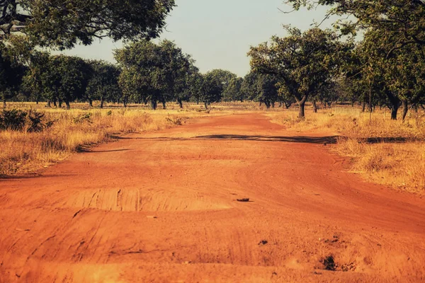 Schotterpiste Ghana Westafrika — Stockfoto