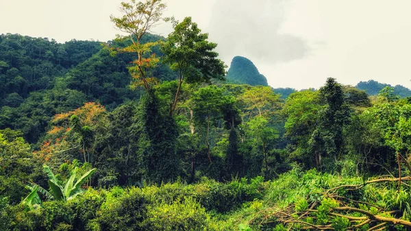 UNESCO tarafından biyosfer rezervi, Principe, Sao Tome ve Principe, Atlantik Okyanusu, Afrika