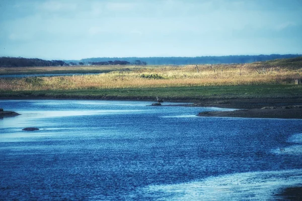 Kushiro Wetland Kushiro Hokkaido Japão — Fotografia de Stock