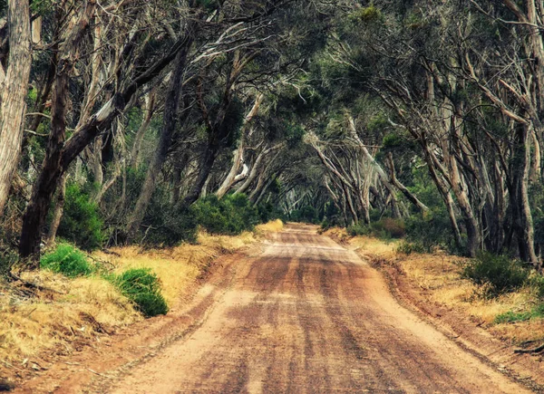 Οδός Στο Outback Της Αυστραλίας — Φωτογραφία Αρχείου