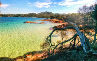 Freycinet Milli Parkı Tasmania, Tazmanya kıyı şeridi