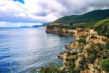 Tasman Yarımadası Tasmania engebeli cliff kıyı şeridi