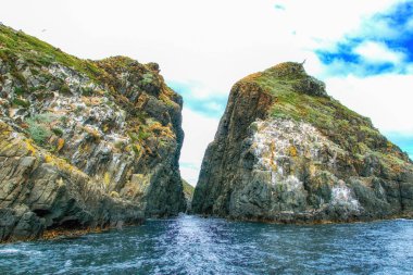 Cape Hauy, Tasman Yarımadası Milli Parkı, Tazmanya, Avustralya