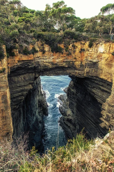 Tasman Halvøen Tasmanien Tæt Tasman Arch - Stock-foto