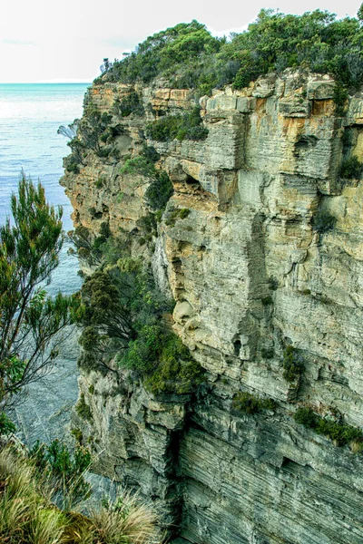 Tasman Yarımadası Tasmania Cliff Yüzünü Kapat — Stok fotoğraf