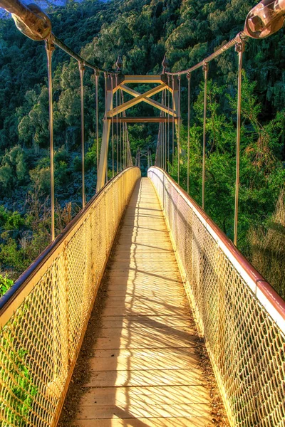 Pasarela Sobre Garganta Cataratas Río Tamar Launceston Tasmania — Foto de Stock