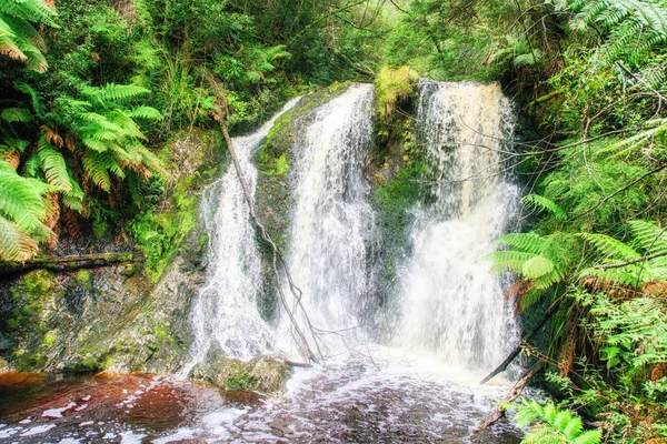 Watervallen Het Nationaal Park Van Cradle Mountain Lake Clair — Stockfoto
