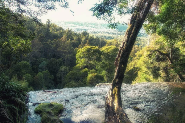 緑豊かな熱帯雨林のラッセルの滝 マウントフィールド国立公園 タスマニア オーストラリア — ストック写真
