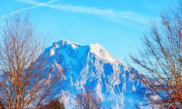 Гора Зимой Свежим Снегом Австрия Верхняя Австрия Зальцкаммергут — стоковое фото