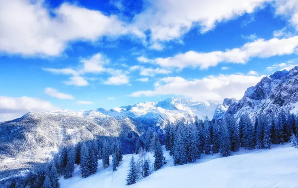 Prachtige Winterlandschap Van Oostenrijkse Alpen — Stockfoto