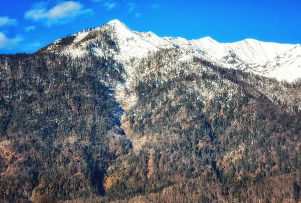 Montanha Durante Inverno Com Neve Fresca Áustria Alta Áustria Salzkammergut — Fotografia de Stock