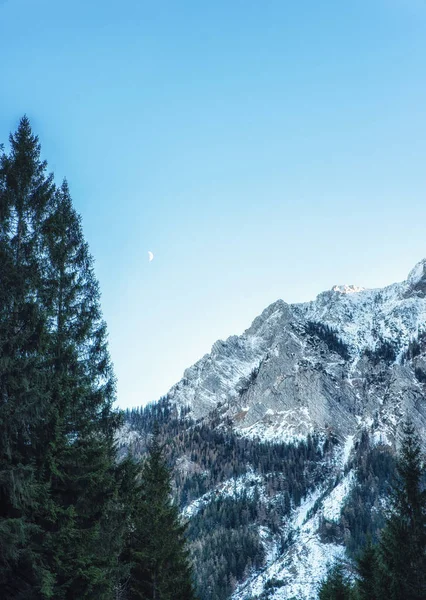 Montanha Durante Inverno Com Neve Fresca — Fotografia de Stock