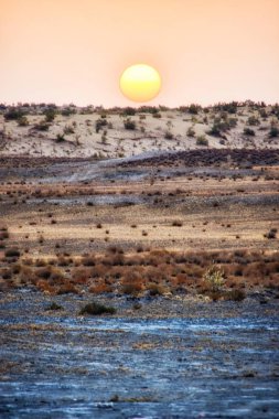 yerli khwarezmian medeniyet Merkezi ve bir dizi Krallık Harezm doğası.