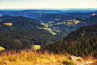 Panoramik Feldberg Kara Orman, Almanya dan