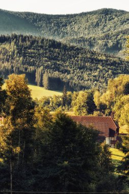 Rustik çiftlik, woods ve dalgalı tepeler ve vadiler kara orman bölge, güneybatıda Almanya için bir göz yatıştırıcı turu yapmak