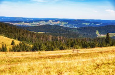 Kara Orman, Almanya: Doğal park Feldbergsteig